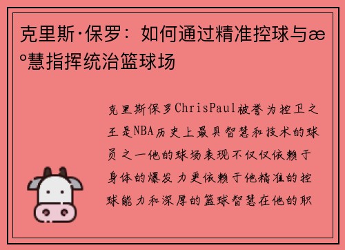 克里斯·保罗：如何通过精准控球与智慧指挥统治篮球场